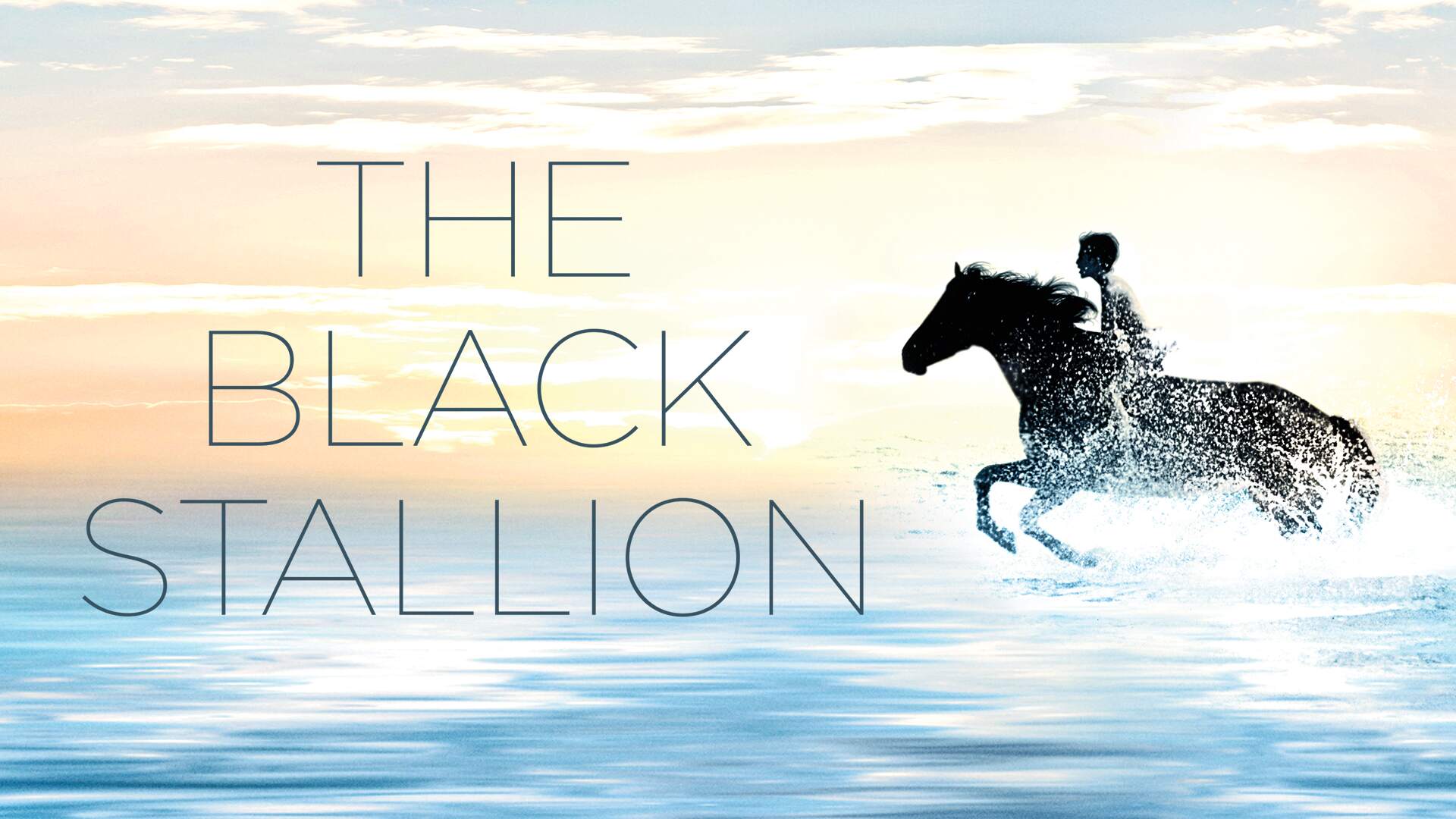 Black Stallions-Comp
