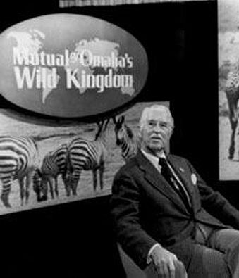 wild-animals-about-animals